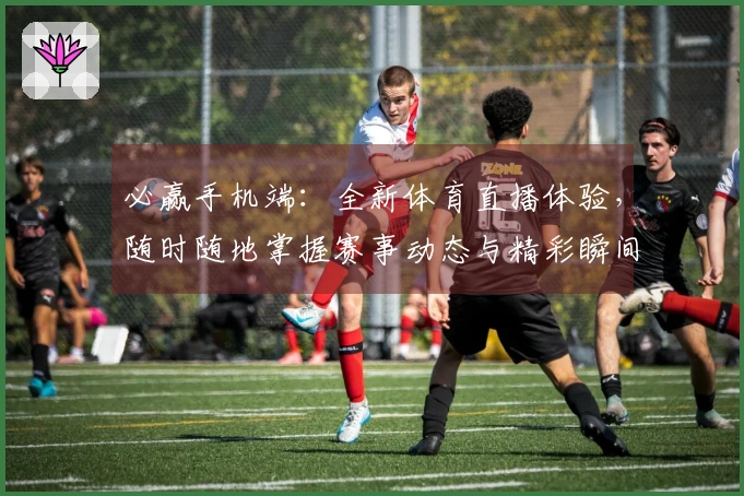 必赢手机端：全新体育直播体验，随时随地掌握赛事动态与精彩瞬间