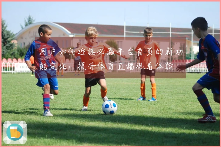 用户如何迎接必赢平台首页的新功能变化，提升体育直播观看体验